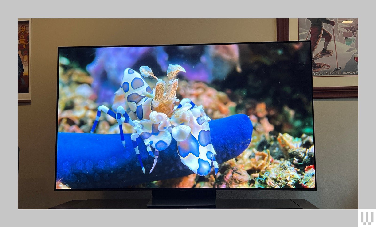 Samsung S90D QD OLED TV Screen Underwater Reviewer Photo SOURCE Ryan Waniata